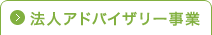 法人アドバイザリー事業