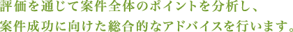 評価を通じて案件全体のポイントを分析し、案件成功に向けた総合的なアドバイスを行います。